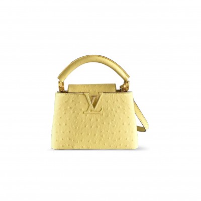 LOUIS VUITTON CAPUCINES MINI N85520 (21*14*8cm)
